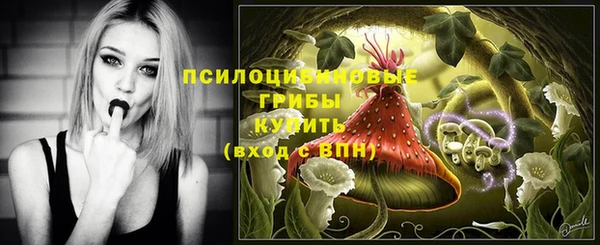ECSTASY Кодинск