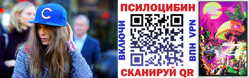 Купить где  Болхов  Псилоцибиновые грибы Psilocybe 